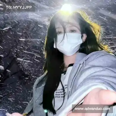 云维燕